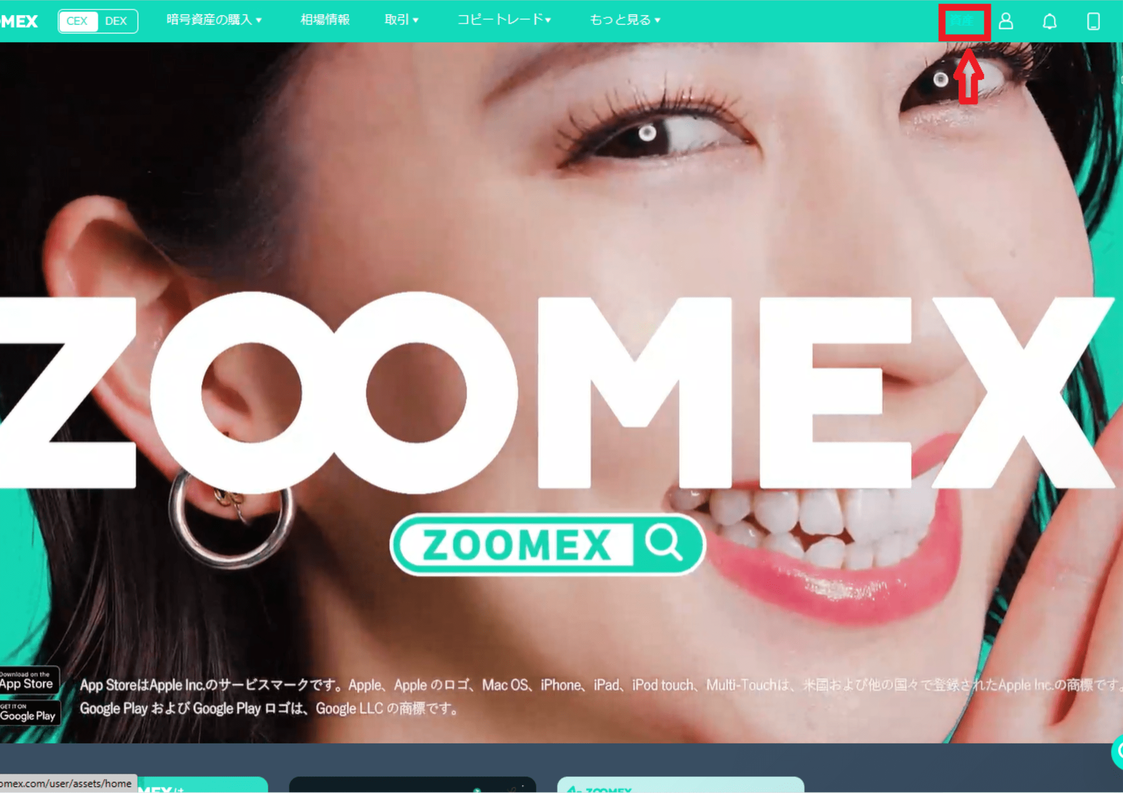 zoomex_資産