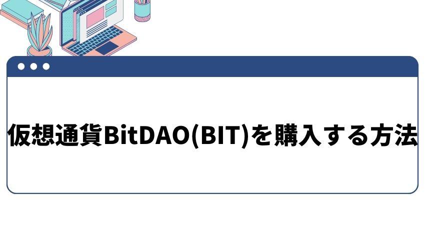 BitDAO_購入_方法